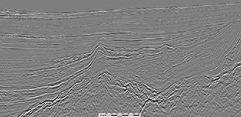 CAMDI Seismic Example